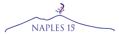 Naples 15 — Current Logo